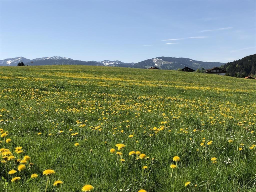 Ferienwohnungen Britta Heim Oberstaufen Dış mekan fotoğraf