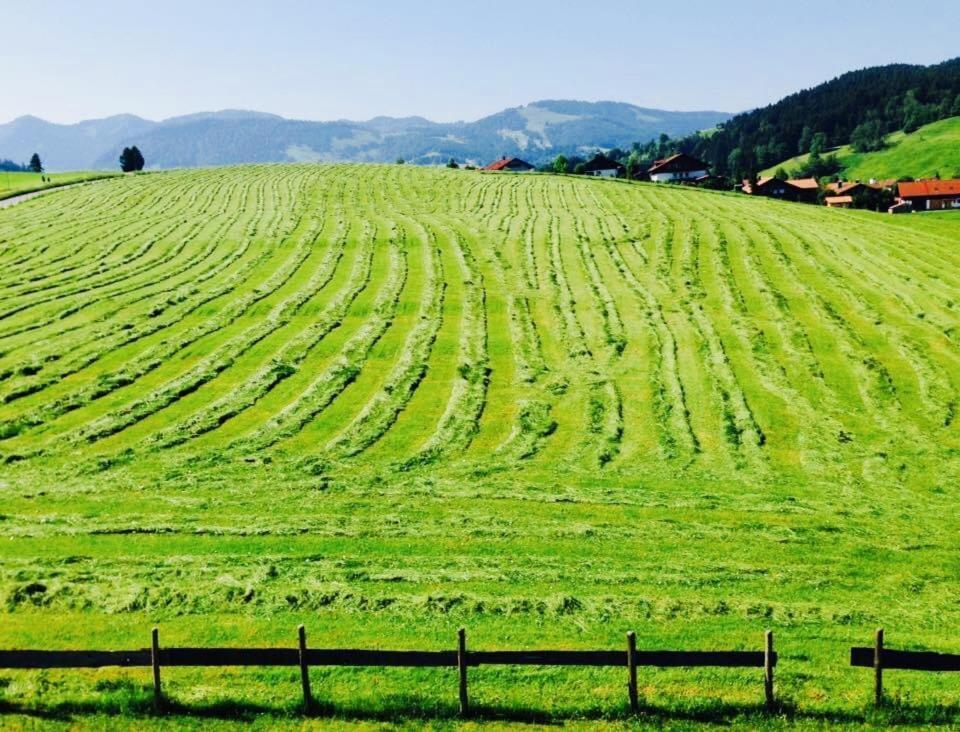 Ferienwohnungen Britta Heim Oberstaufen Dış mekan fotoğraf